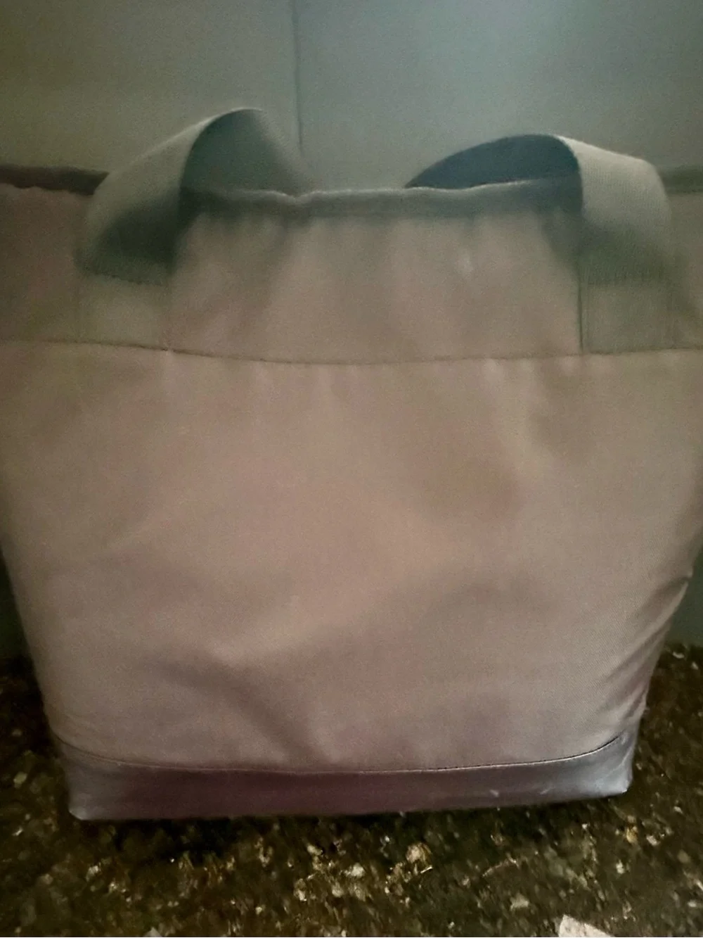 Disney Igloo Mickey Mouse Dual Compartment 20qt Tote Cooler Bag